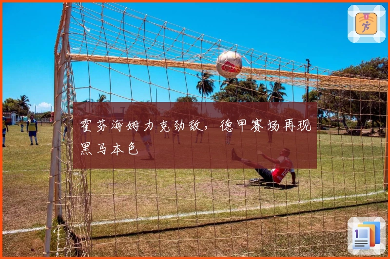 霍芬海姆力克劲敌，德甲赛场再现黑马本色