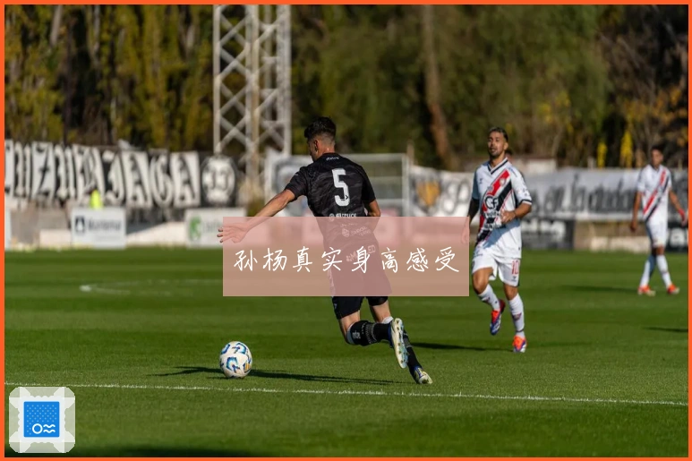 孙杨真实身高感受