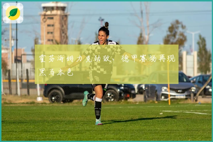 霍芬海姆力克劲敌，德甲赛场再现黑马本色