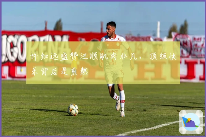 许知远盛赞汪顺肌肉非凡，顶级快乐背后是煎熬