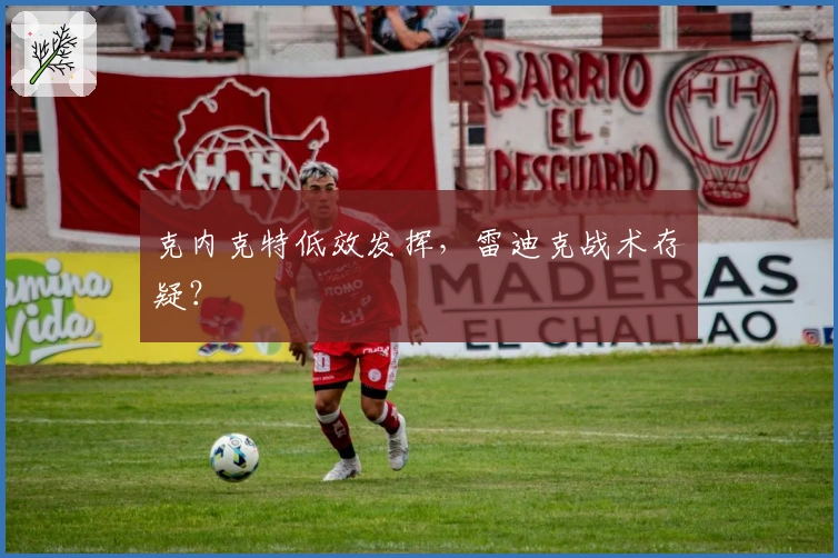 克内克特低效发挥,雷迪克战术存疑?